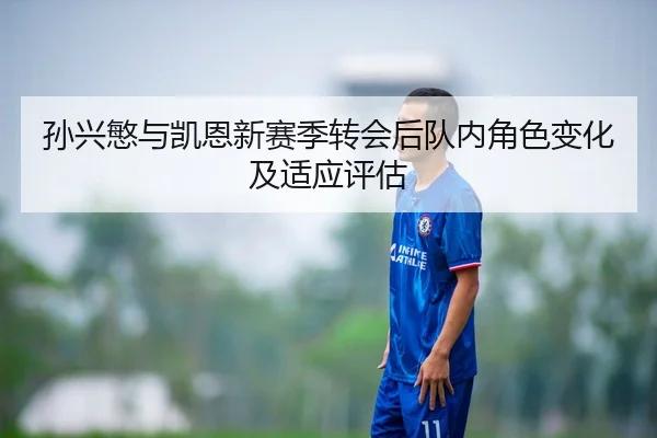 孙兴慜与凯恩新赛季转会后队内角色变化及适应评估